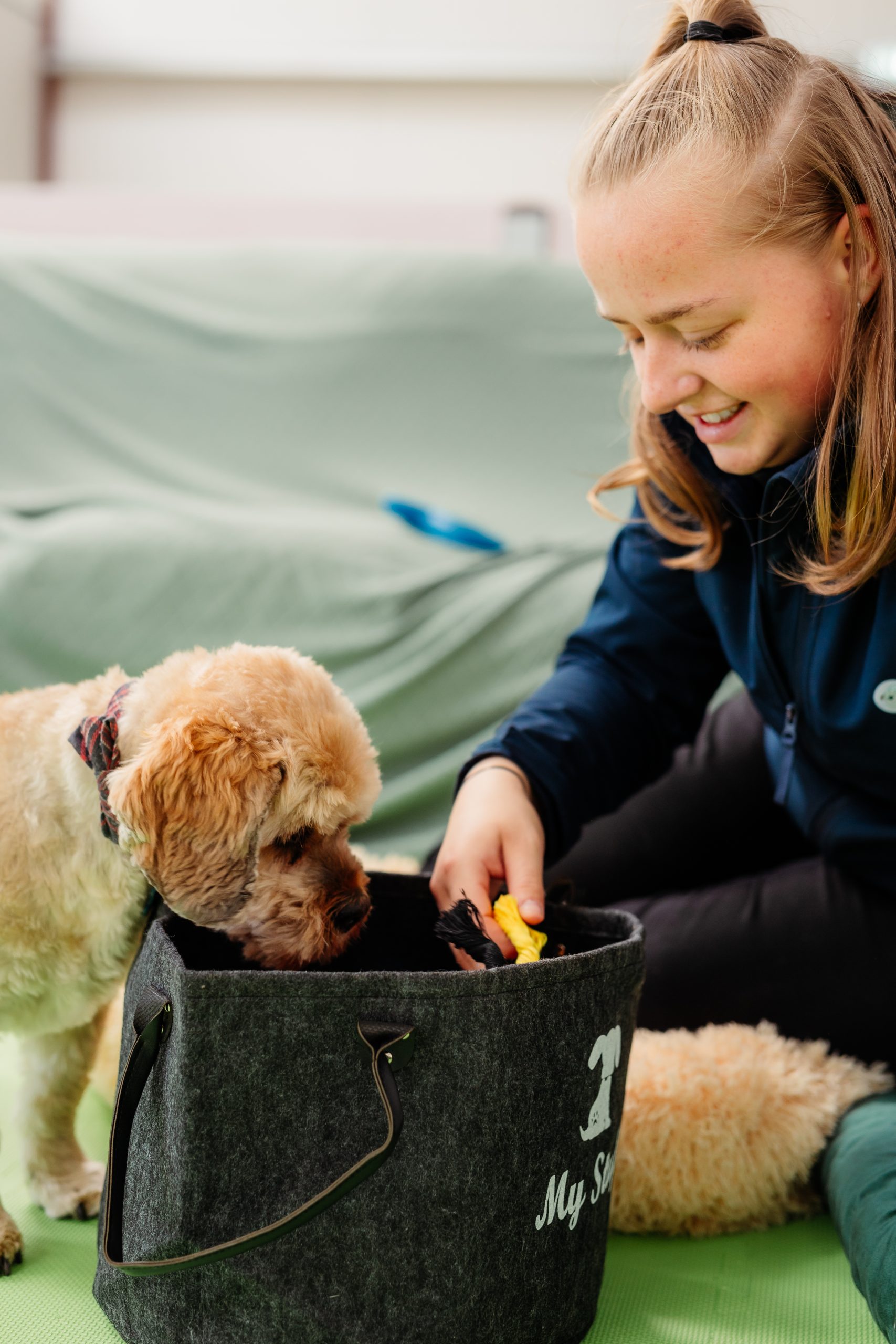 a girl and dog looking at a bag